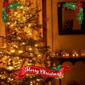 Meet your Posher, Celeste